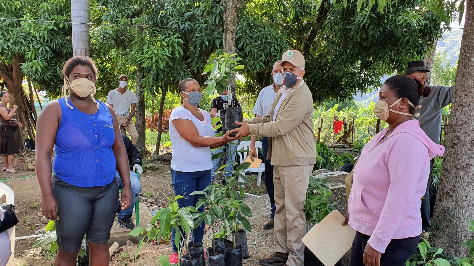 REPÚBLICA DOMINICANA: Azua: Ministerio de Agricultura entrega 10 mil plantas de aguacate a pequeños productores