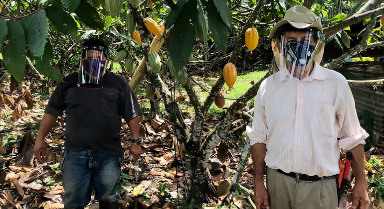 Con cascos de bioseguridad, campesinos en Colombia trabajan para alimentar al país en medio de la pandemia