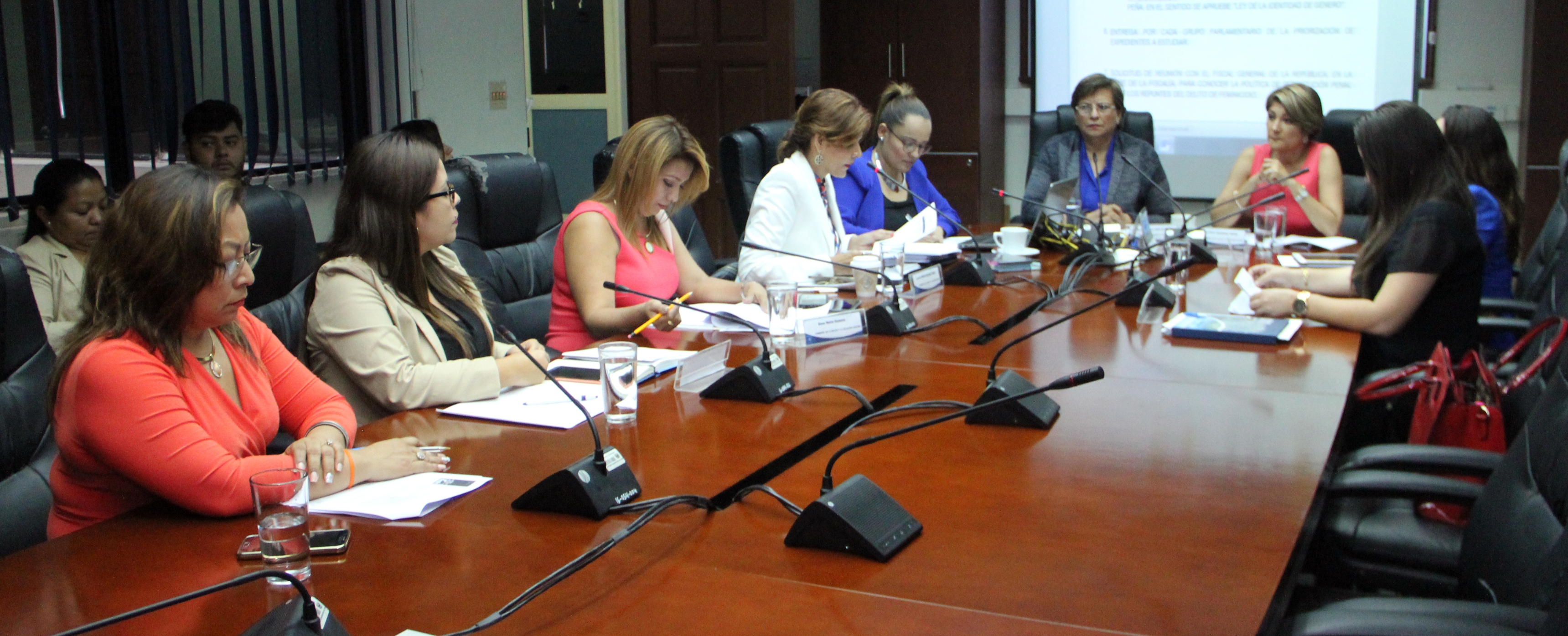 EL SALVADOR: Comisión trabaja en erradicar violencia política contra las mujeres
