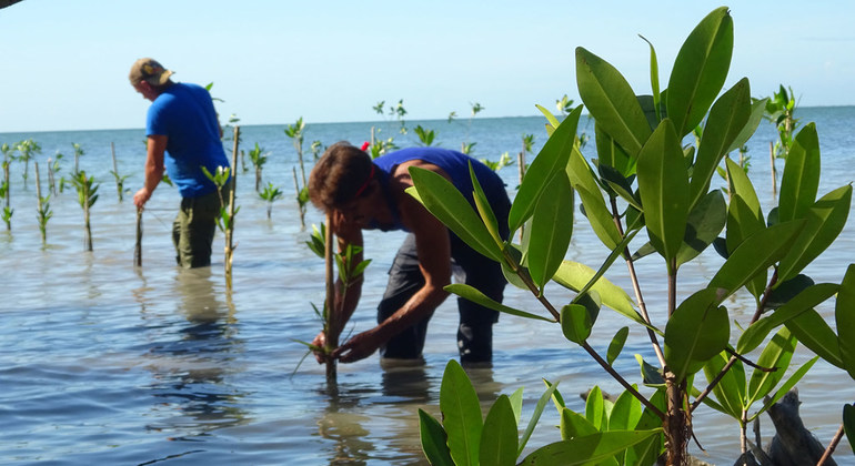 Un proyecto de medio ambiente protegerá la costa sur de Cuba frente al cambio climático