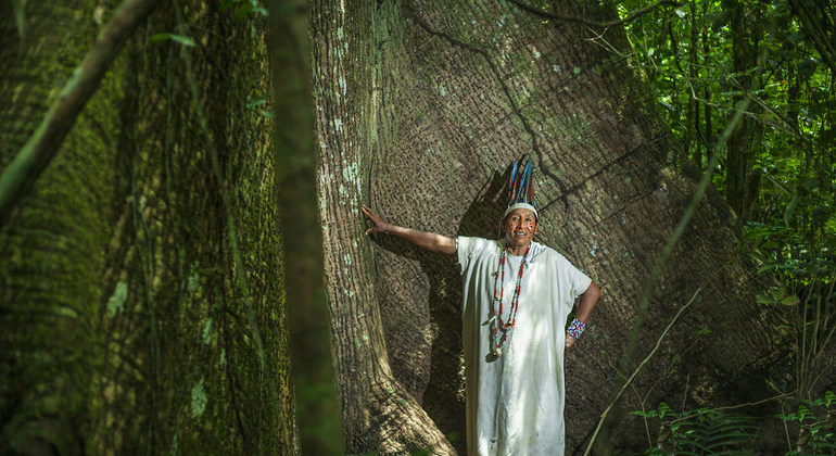 Los pueblos indígenas latinoamericanos sufren cada vez más presiones pese a tener un papel crucial contra el cambio climático