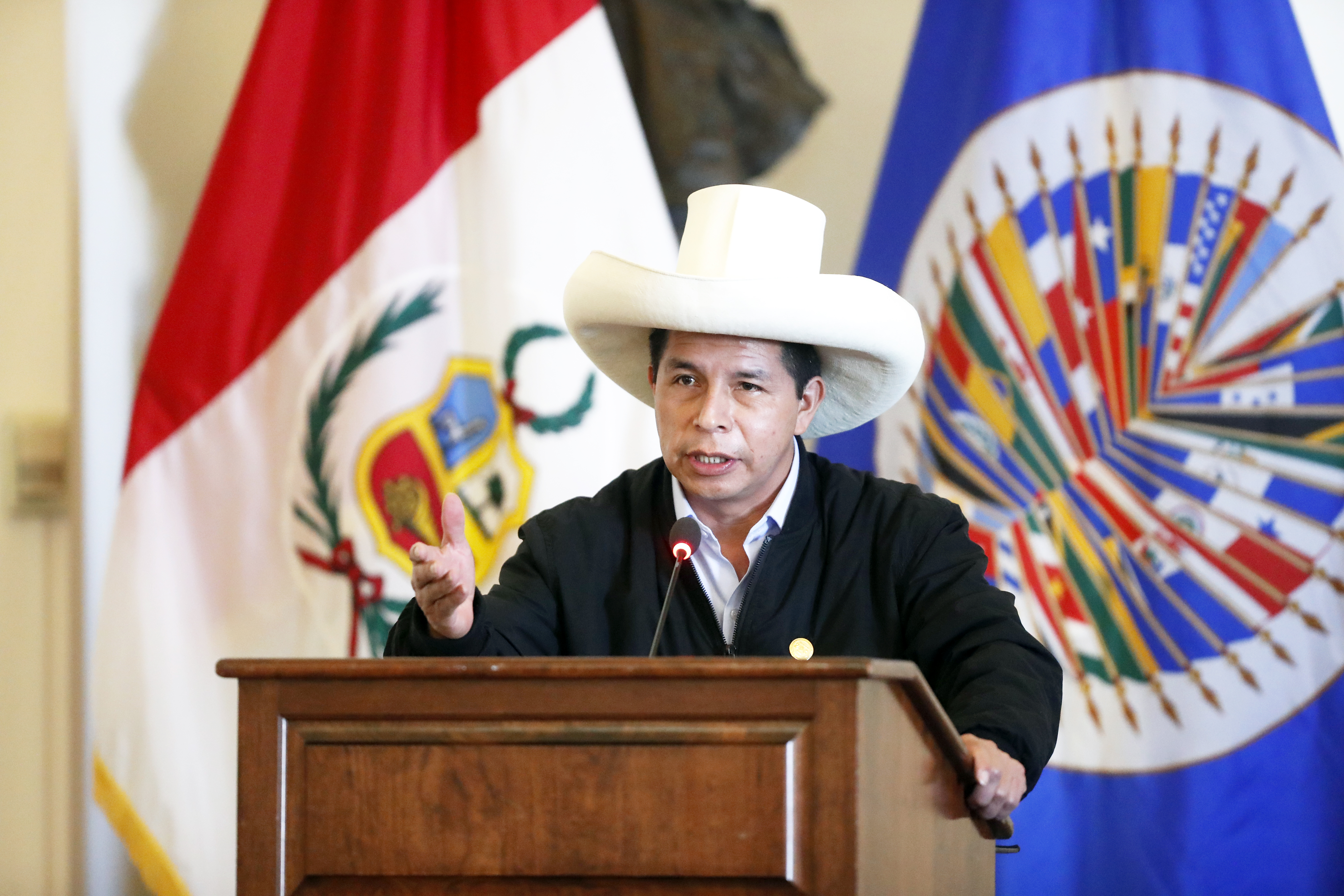 Presidente Pedro Castillo expondrá política de lucha contra la COVID-19 en cumbre de mandatarios de la OEA