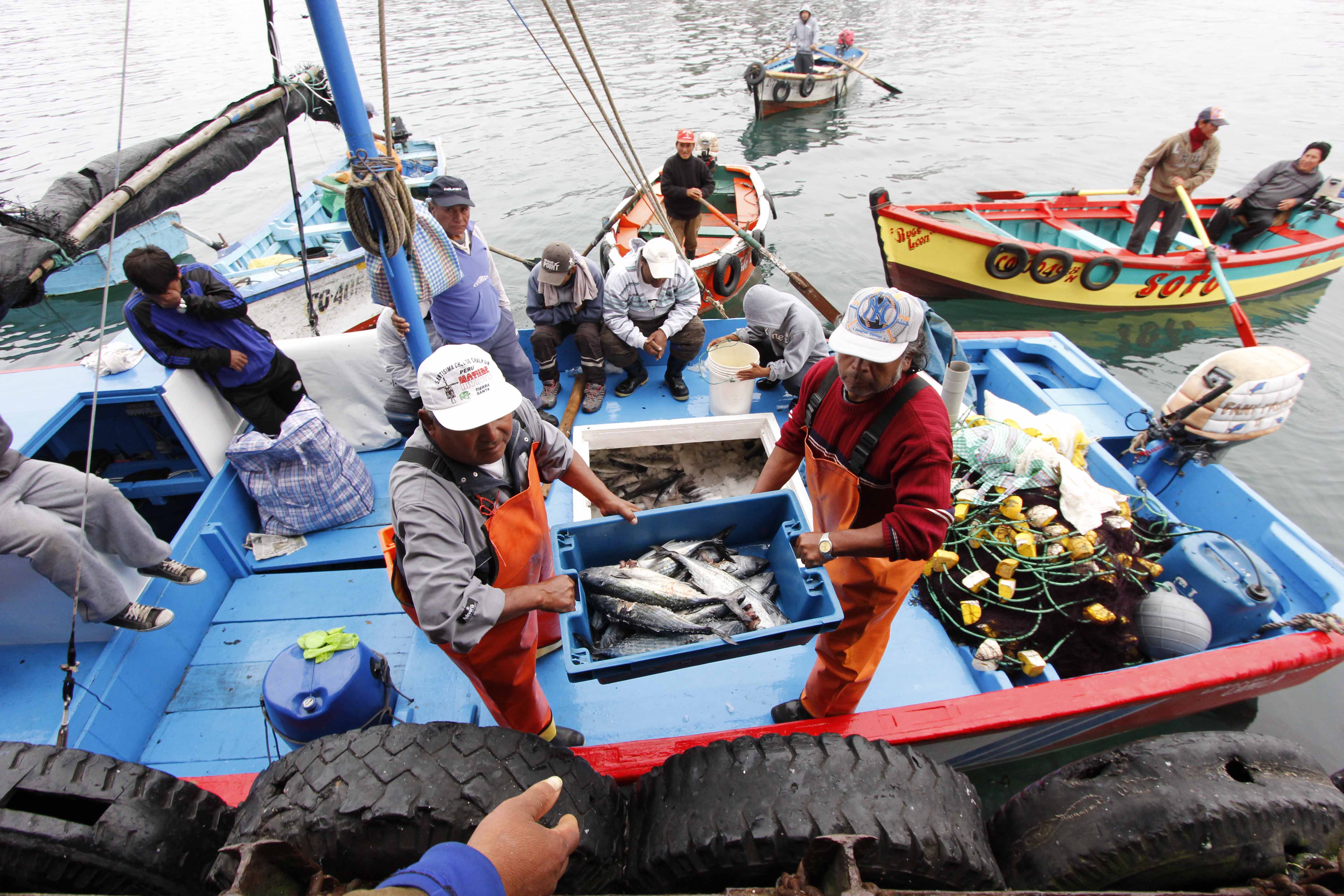 PERÚ: Gobierno aprueba transferencia para reactivar economía de pescadores artesanales