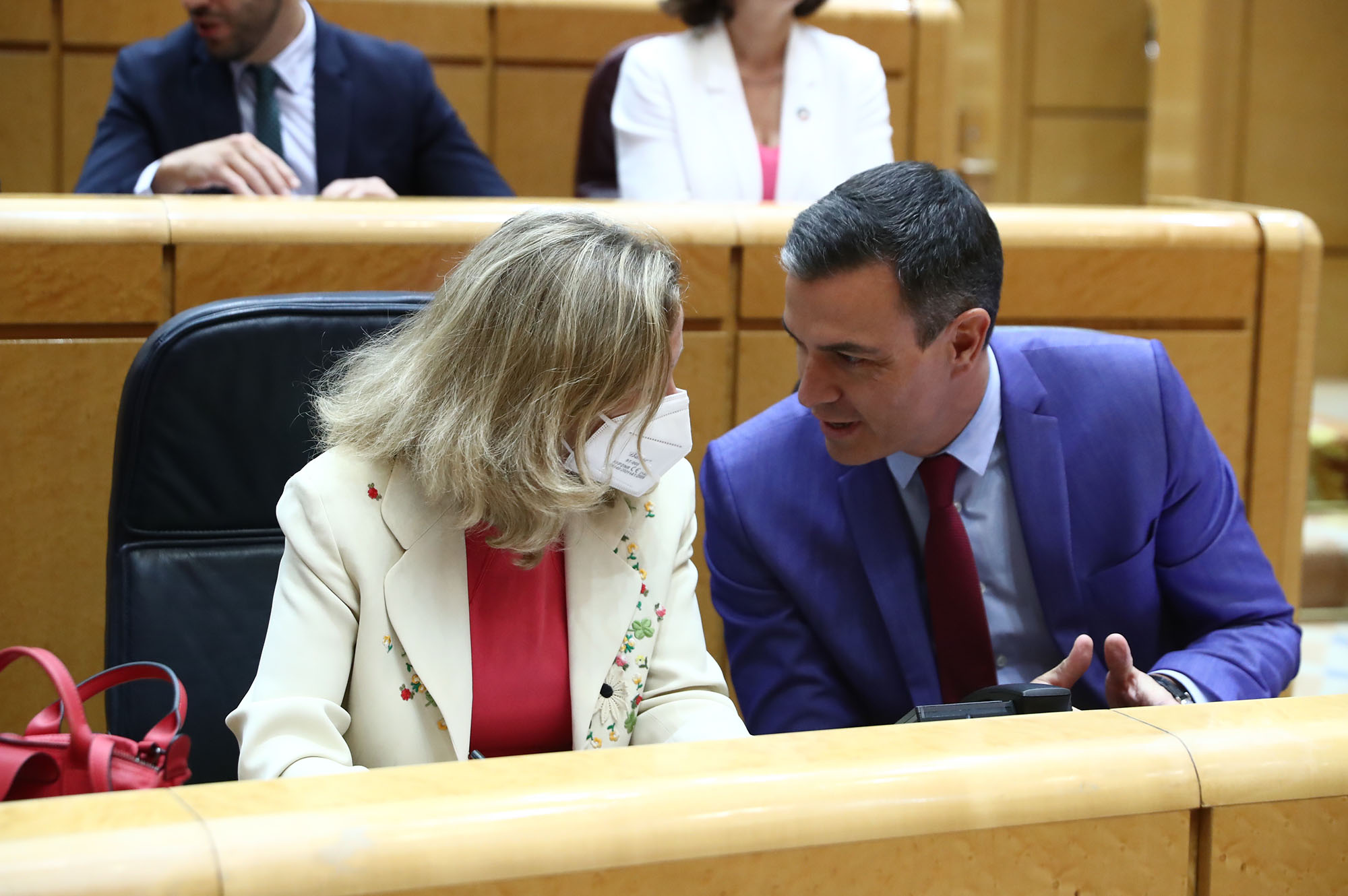 Nadia Calviño y Pedro Sánchez conversan en sus escaños en el Senado
