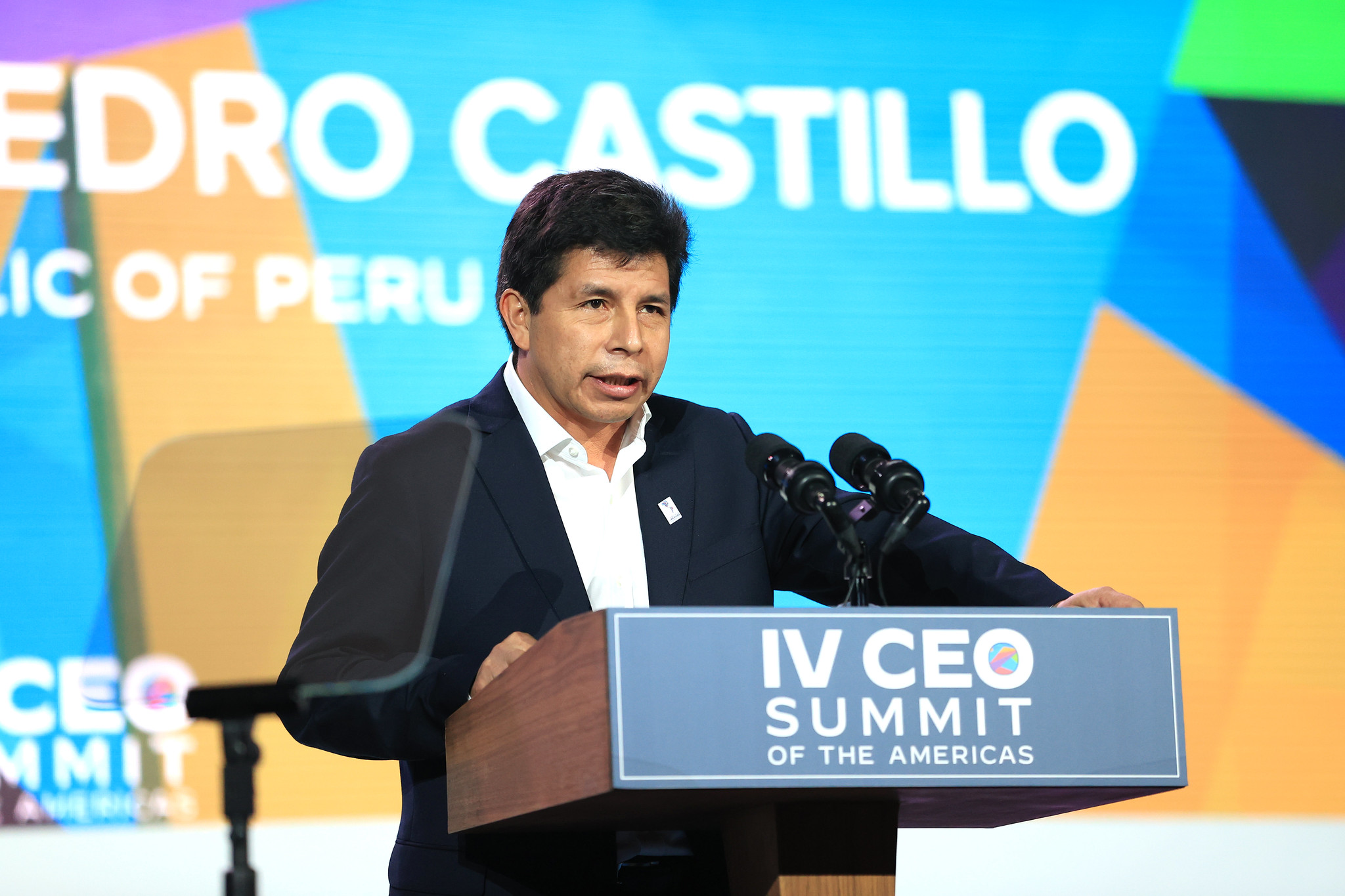Presidente Castillo aseguró que su gobierno apuesta por la inversión privada y consolidación de relaciones comerciales en América