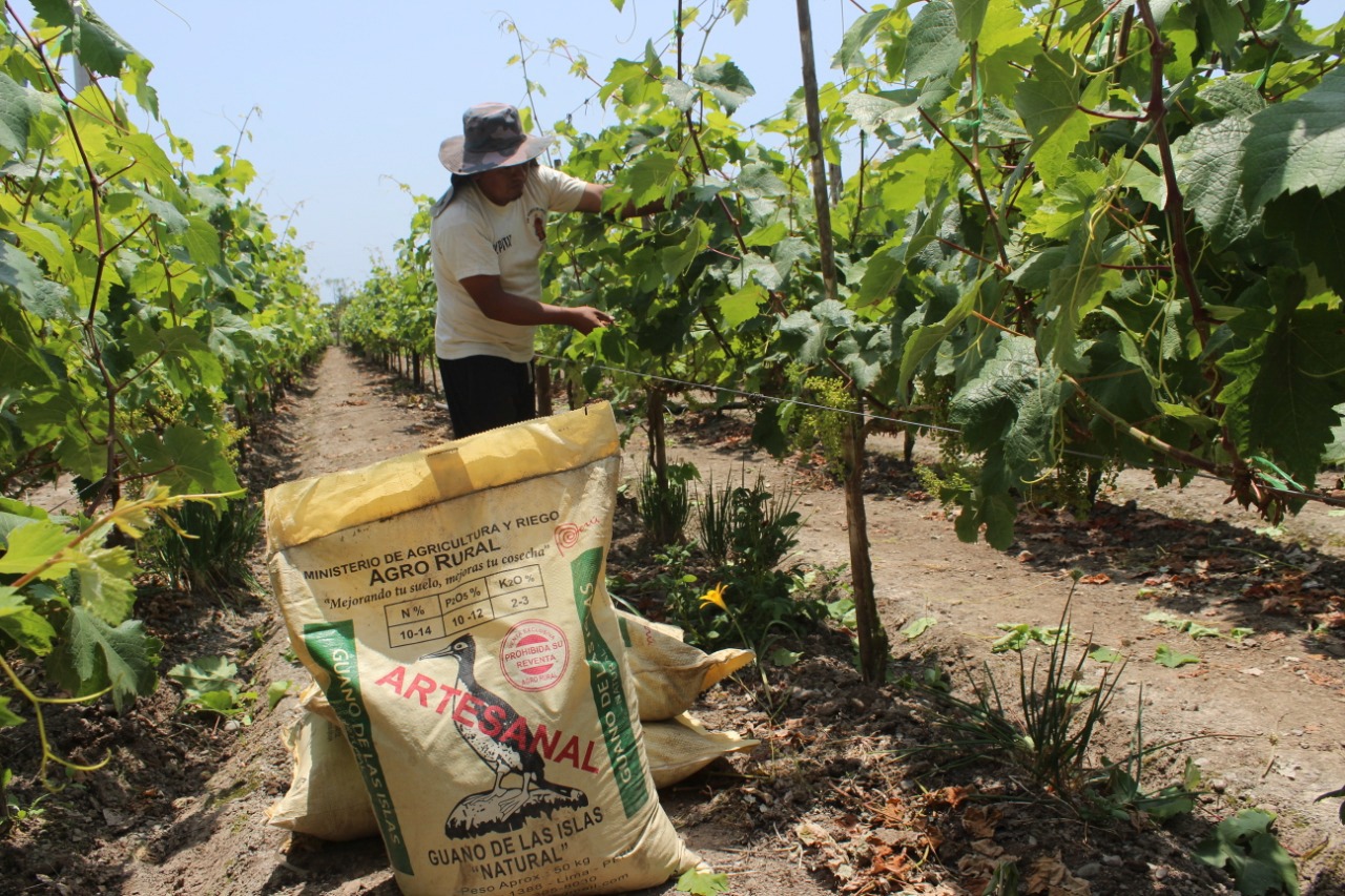 PERÚ: Gobierno amplía hasta el 31 de octubre plazo para comprar fertilizantes que garantice su distribución a nivel nacional