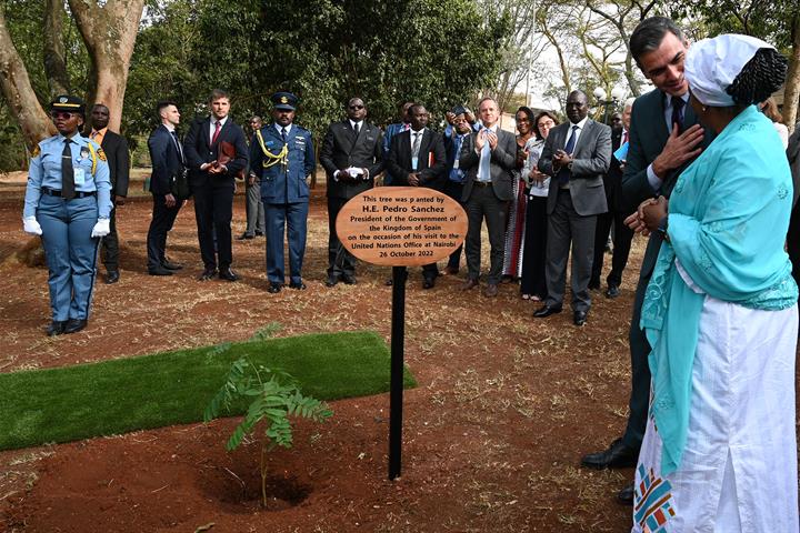 Árbol plantado por el presidente del Gobierno en la sede de Naciones Unidas en Nairobi