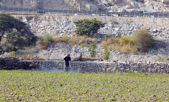 La salud de diez millones de peruanos está en riesgo por el envenenamiento del agua con sustancias tóxicas