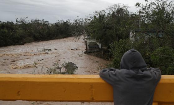 Unos 800.000 latinoamericanos y caribeños afectados por los huracanes reciben ayuda alimentaria de la ONU