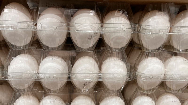 Los precios de los huevos en EEUU comenzarán a bajar, la industria da señales de recuperación: expertos