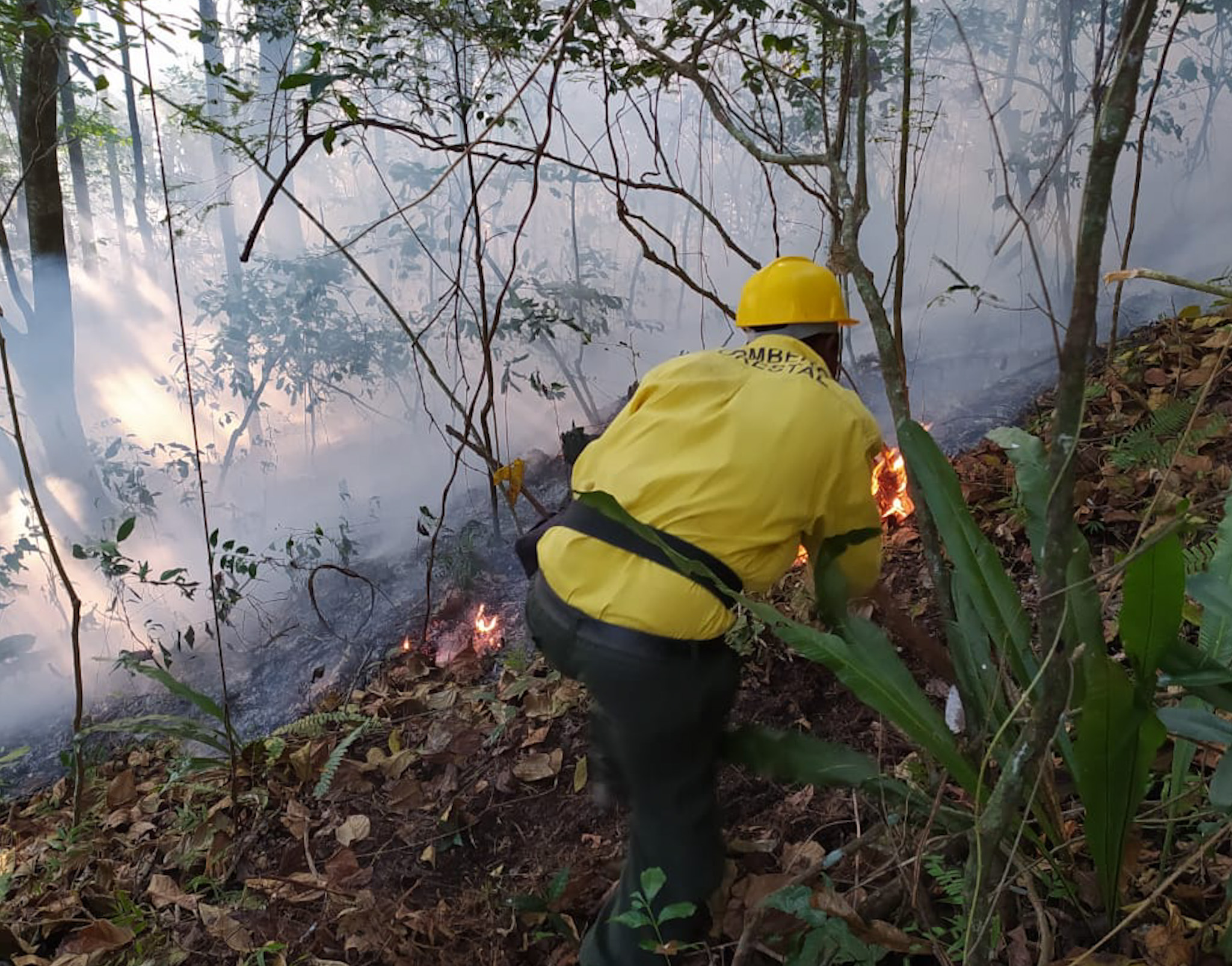 REPÚBLICA DOMINICANA: Ministerio de Medio Ambiente mantiene controlado incendio forestal en Barahona