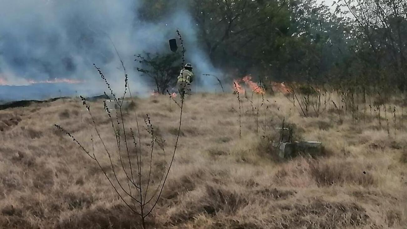 REPÚBLICA DOMINICANA: Medio Ambiente: Incendio forestal en Valle Nuevo sigue bajo control y estaría sofocado en las próximas horas