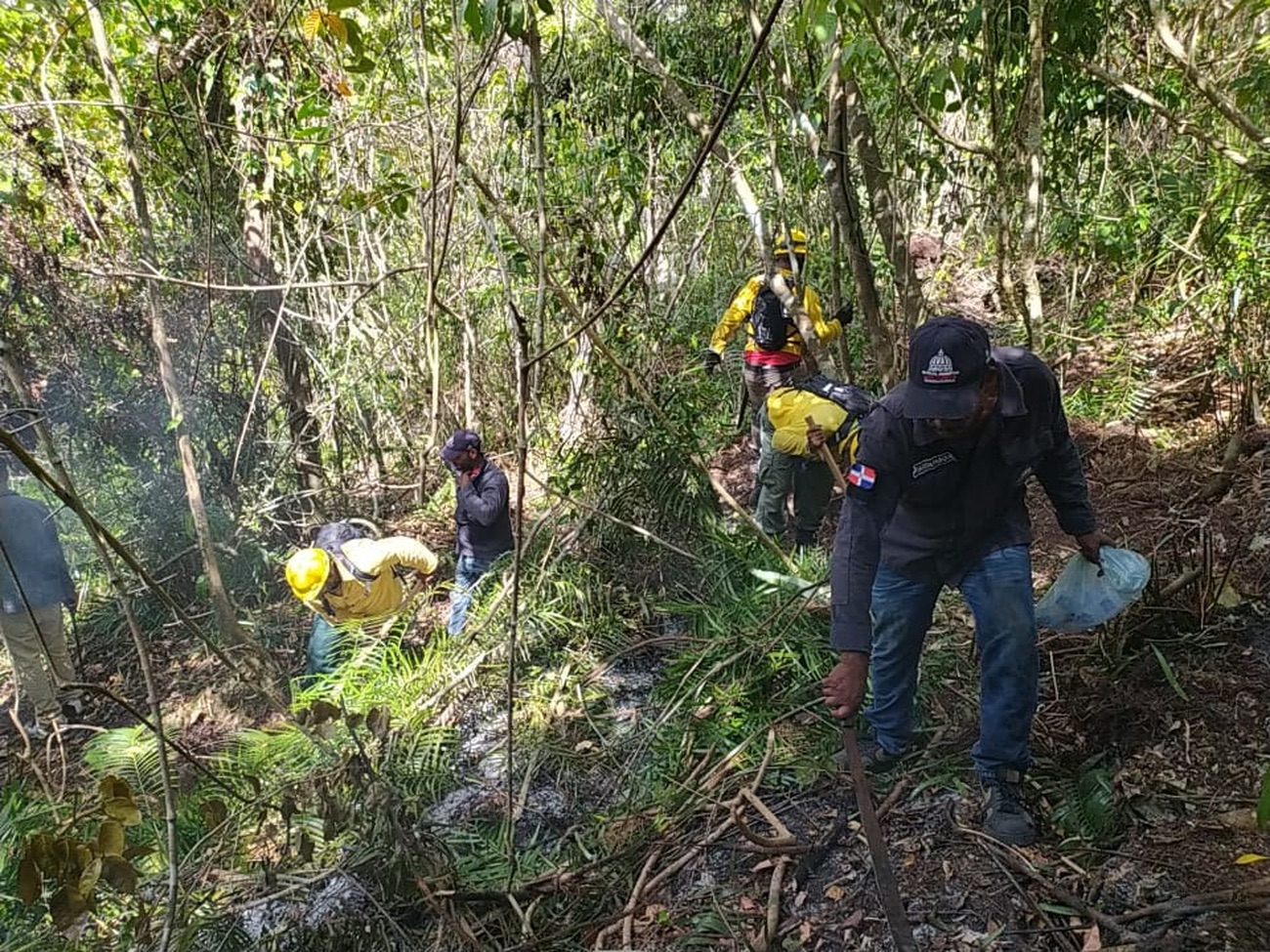 REPÚBLICA DOMINICANA: Ministerio de Medio Ambiente informa siete personas han sido detenidas por incendios de Punta Cana; bomberos forestales continúan trabajando para sofo...