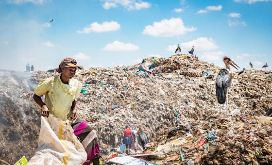 Día Internacional de Cero Desechos: La ONU aboga por el cambio hacia una economía circular
