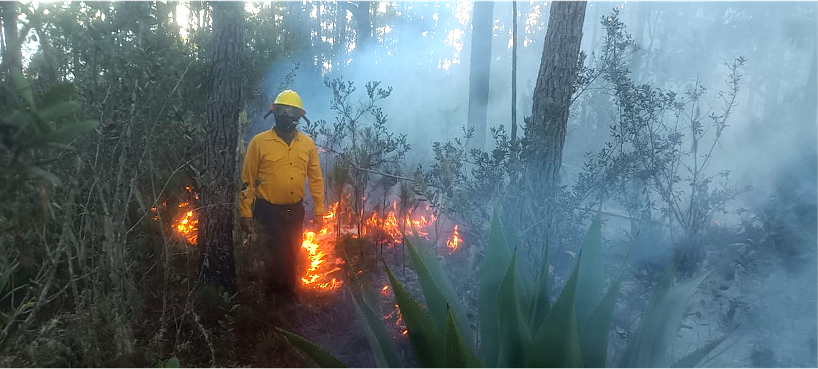 REPÚBLICA DOMINICANA: Bomberos forestales extinguen 11 incendios en diferentes puntos del país
