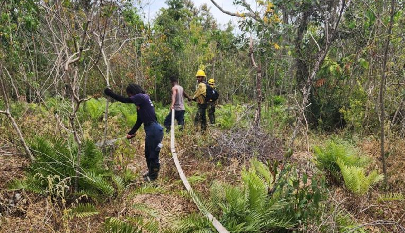 REPÚBLICA DOMINICANA: Ministerio de Medio Ambiente reitera llamado a la población a hacer correcto uso del fuego