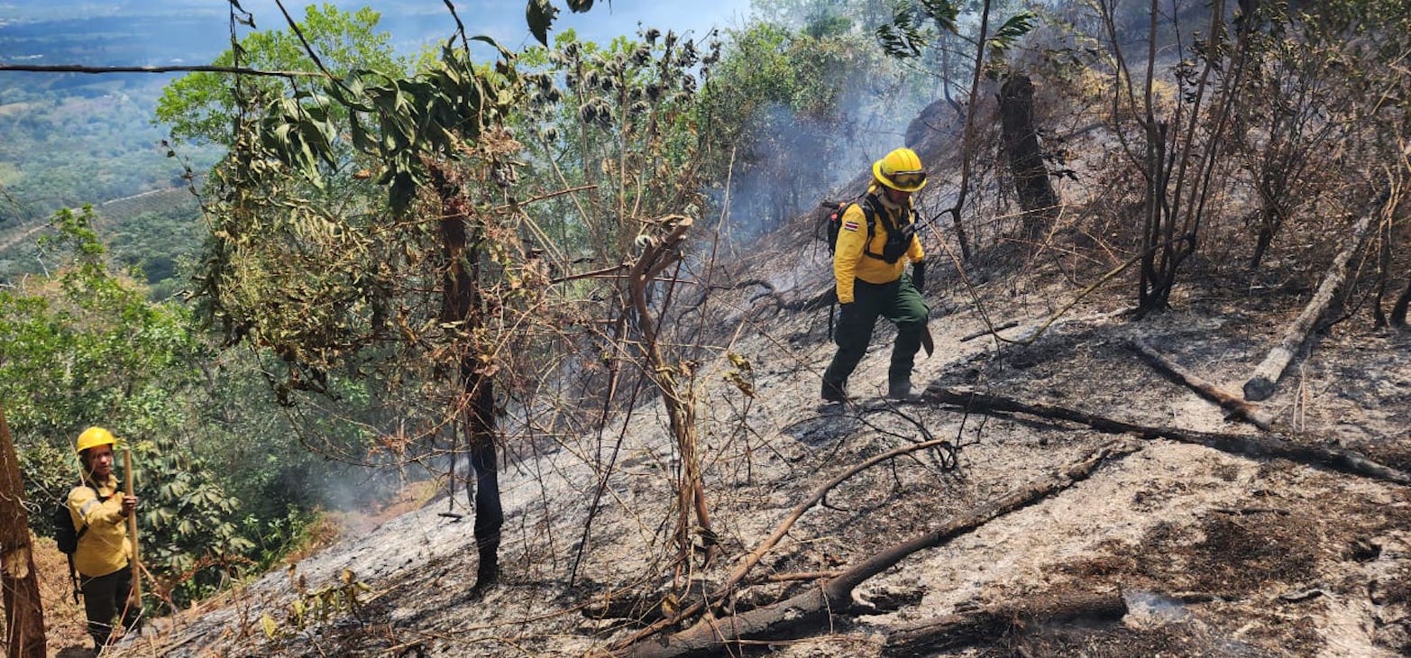 REPÚBLICA DOMINICANA: Medio Ambiente identifica responsables de crear algunos incendios en zonas de RD; cantidad de siniestros disminuye