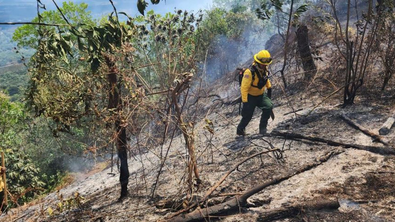 REPÚBLICA DOMINICANA: Medio Ambiente trabaja para fortalecer la capacidad de respuesta de los bomberos forestales