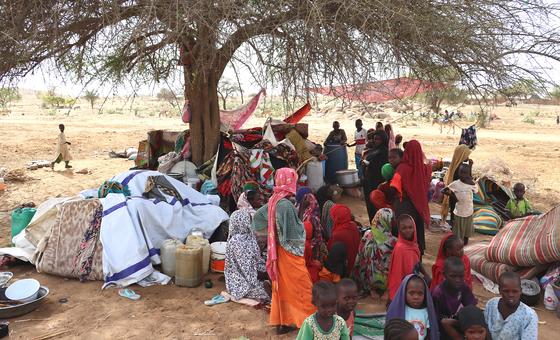 Sudán, Día del Paludismo, consumo de carne, huevos y leche, Foro de la Juventud…