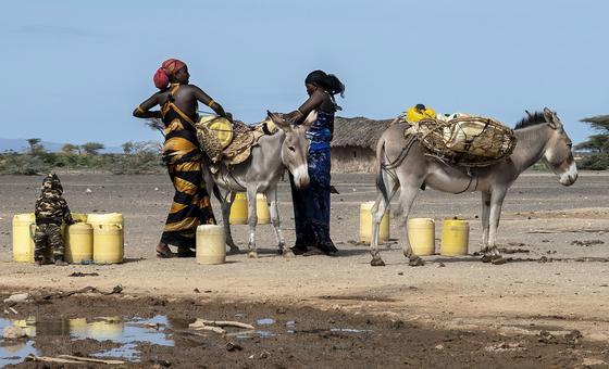 Las mujeres sufren de forma desproporcionada los estragos de la sequía y la desertificación