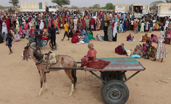 Sudán: El Alto Comisionado denuncia el asesinato de personas que intentan huir de El-Geneina