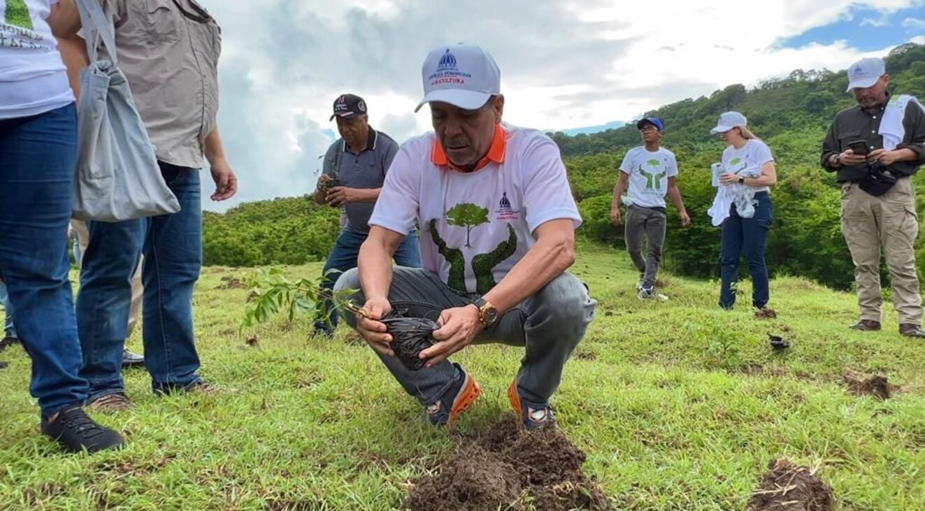 REPÚBLICA DOMINICANA: Ministerio de Agricultura siembra más de mil plantas en San Cristóbal