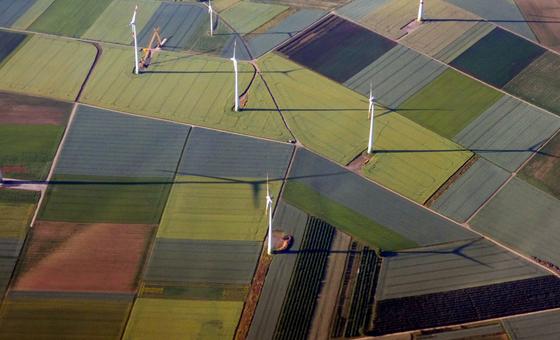 Sin energías renovables no puede haber futuro: 5 formas de impulsarlas