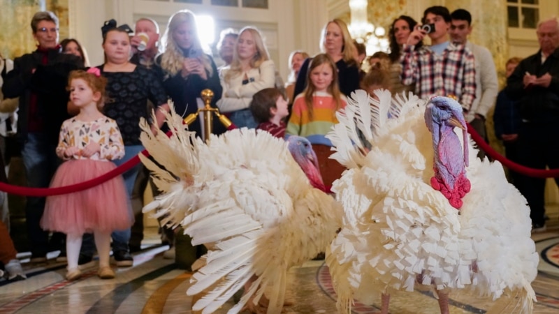 Biden celebra su cumpleaños 81 honrando tradición de la Casa Blanca de perdonar a los pavos de Acción de Gracias