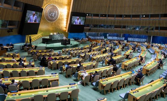 Una reforma del Consejo de Seguridad es imprescindible para acabar con la parálisis