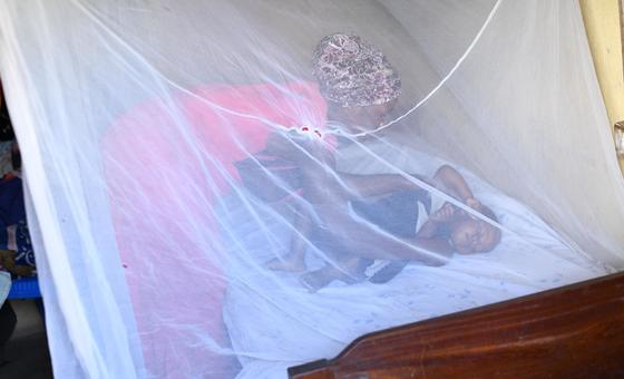 Aumenta la malaria por el cambio climático y la resistencia a los antibióticos, entre otros factores