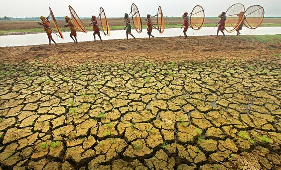 COP28: El manto áspero de la sequía se alarga cada vez más por el planeta