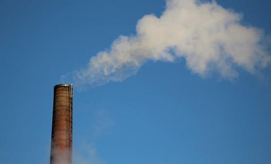 COP28: Las promesas de la industria del petróleo y el gas se quedan cortas para abordar el cambio climático, asegura Guterres