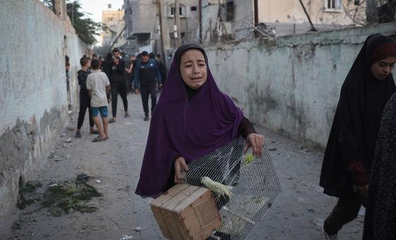Israel-Palestina: Nunca se debe permitir que haya hambre, dice Türk con respecto a Gaza