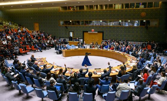 Israel-Palestina: El Consejo de Seguridad exige que se permita la entrega inmediata y segura de ayuda humanitaria a gran escala en Gaza