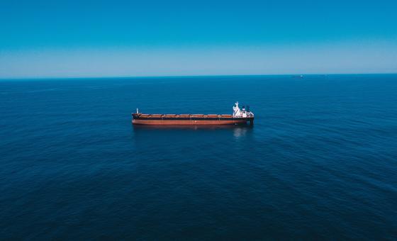 Crisis del Mar Rojo: Alarma por las perturbaciones del comercio mundial que dispara los precios de la energía y los alimentos