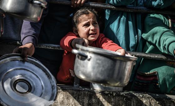 Israel-Palestina: Israel convierte los alimentos en arma contra Gaza, continuando un genocidio iniciado hace años, denuncian expertos