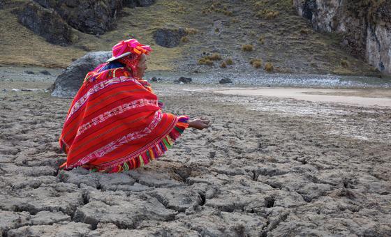 Perú: las reformas de la legislación forestal amenazan la supervivencia de los pueblos indígenas, advierte experto de la ONU