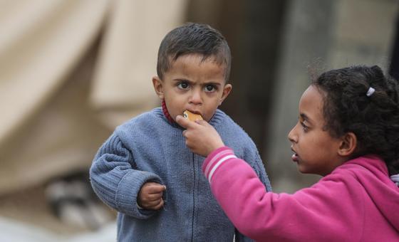 Israel-Palestina: En medio de la crisis de financiación de la UNRWA, los desesperados habitantes de Gaza buscan comida en los camiones
