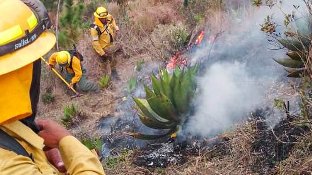 REPÚBLICA DOMINICANA: Ministerio de Medio Ambiente informa que incendio en el Parque Nacional José del Carmen Ramírez está controlado