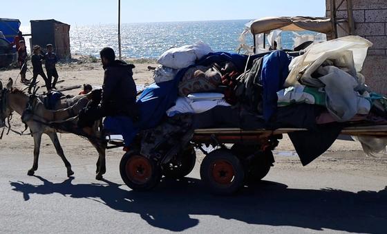 Gaza: 80.000 abandonan Rafah al intensificarse los bombardeos israelíes