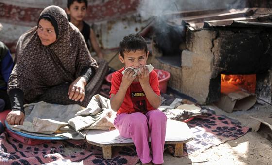 Gaza: Más de 1,7 millones de personas más caen en la pobreza en el Estado de Palestina a causa de la guerra