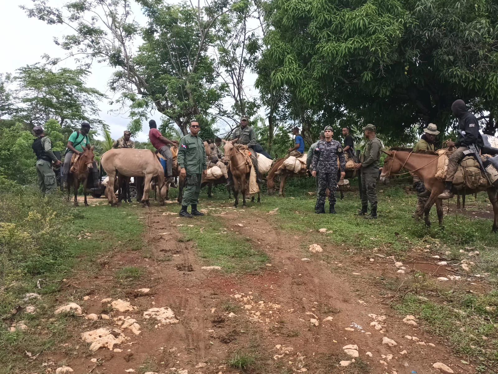 REPÚBLICA DOMINICANA: Intervención en Los Haitises concluye con el arresto de 439 desaprensivos que depredaban el parque nacional