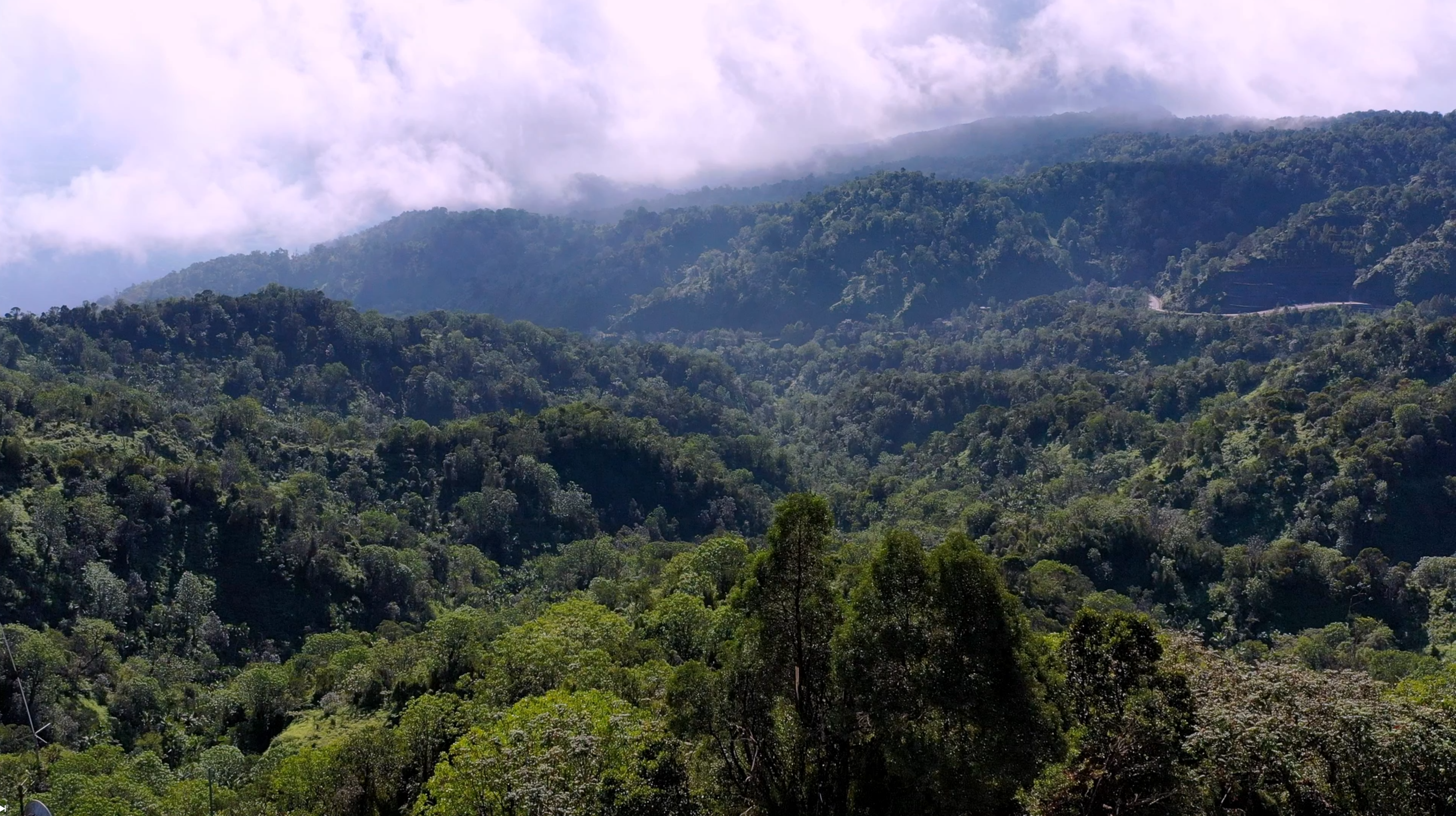 REPÚBLICA DOMINICANA: Medio Ambiente completa proceso de socialización proyecto Reserva de Biosfera Madre de las Aguas